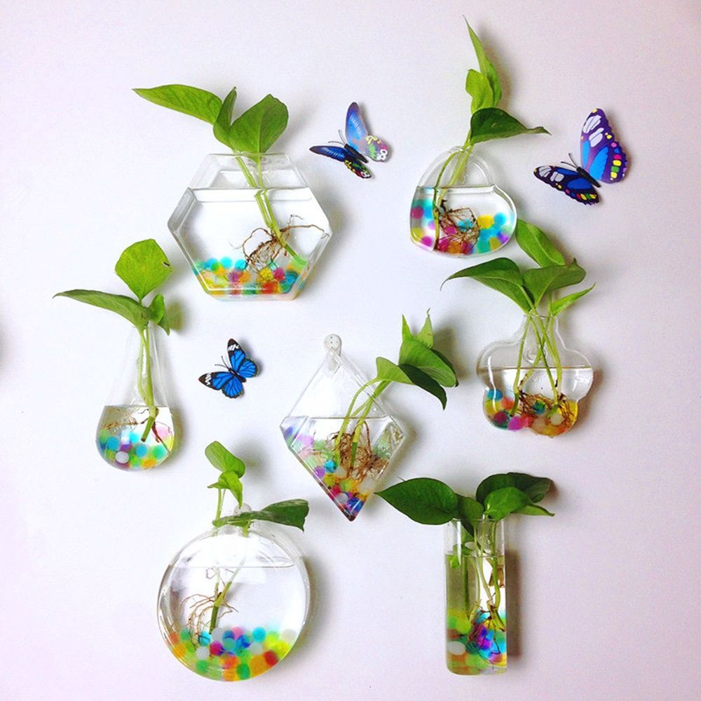 Aquarium Planted Wall - Cone Shape Wall Hanging Vase Transparent