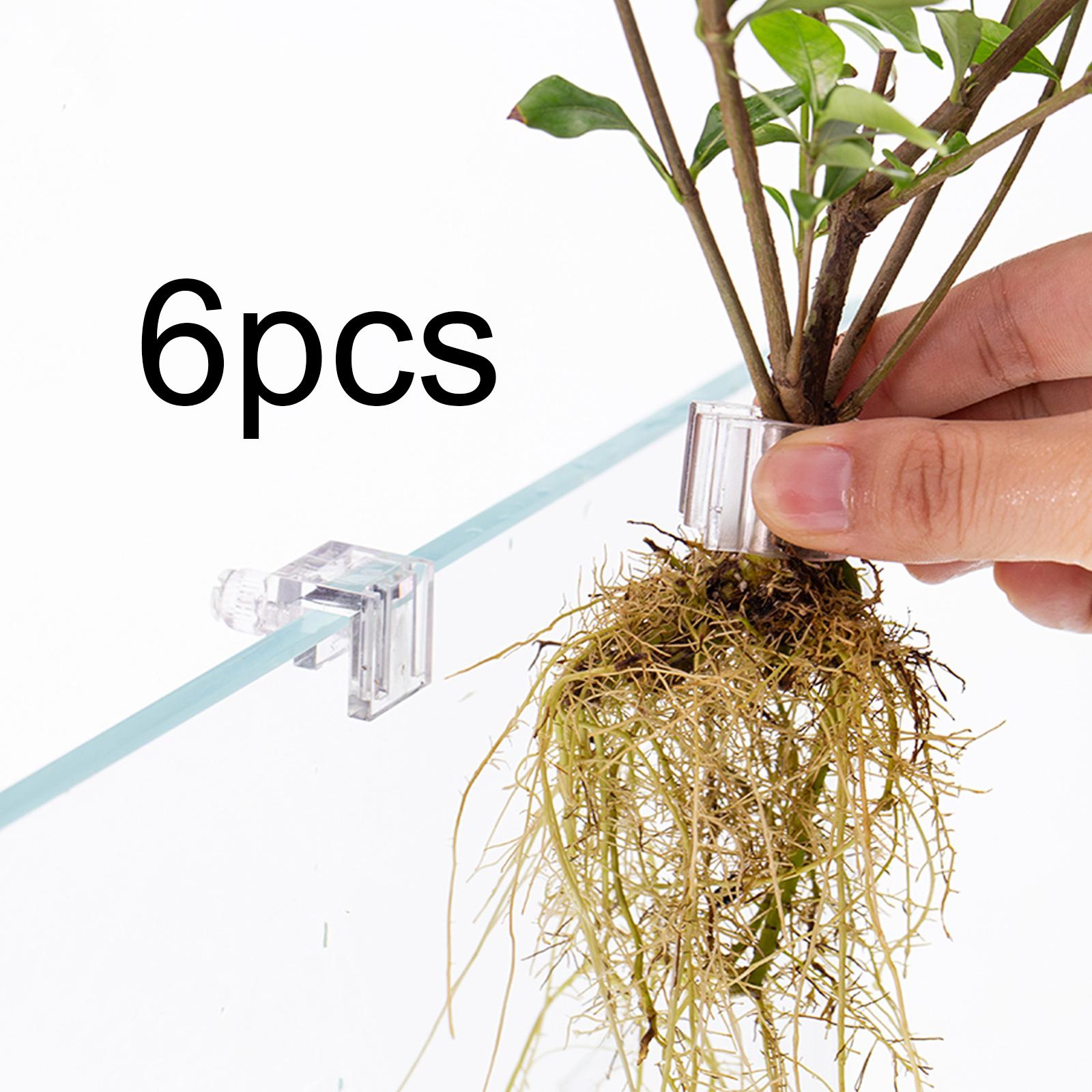 Aquarium Planted Wall - Durable Transparent Plant Holder for Aquarium
