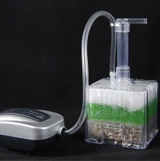 xinyou xy-2011 Fish Tank Aquar - Aquarium Plant Ideas ulasan dan harga