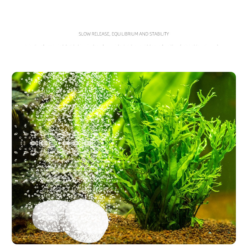 ISTA  Fish Tank Aquarium CO2 T - Planted Aquarium Without Co2 ulasan dan harga