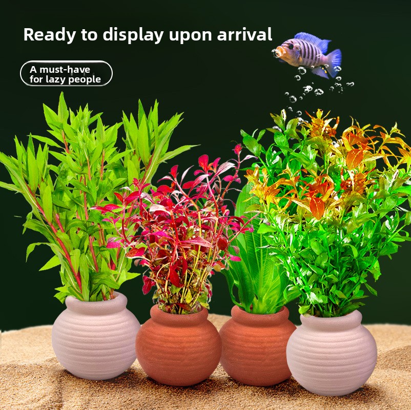 cmomo Aquarium Plant Anchors - - Planted Aquarium Anubias ulasan dan harga