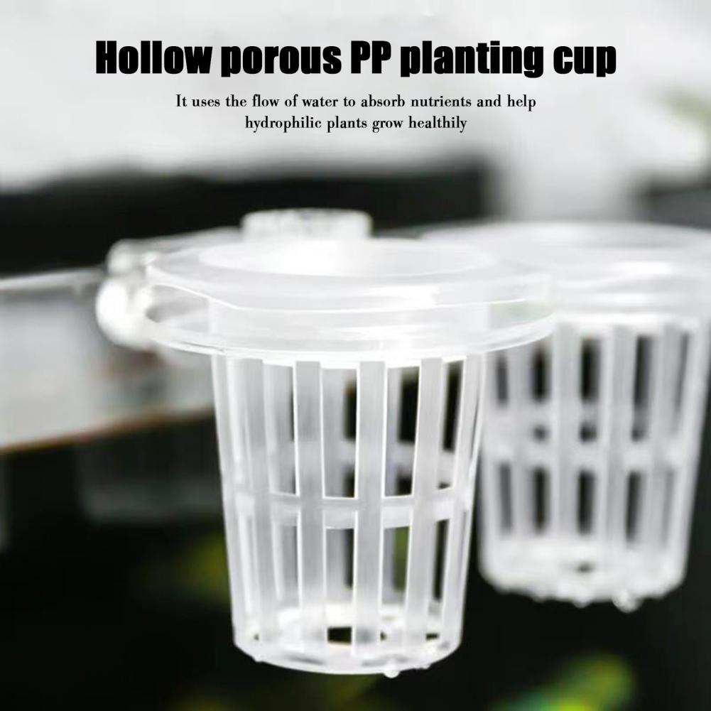 Aquarium Plant Holder Wall-Mou - Aquarium Planted Wall ulasan dan harga