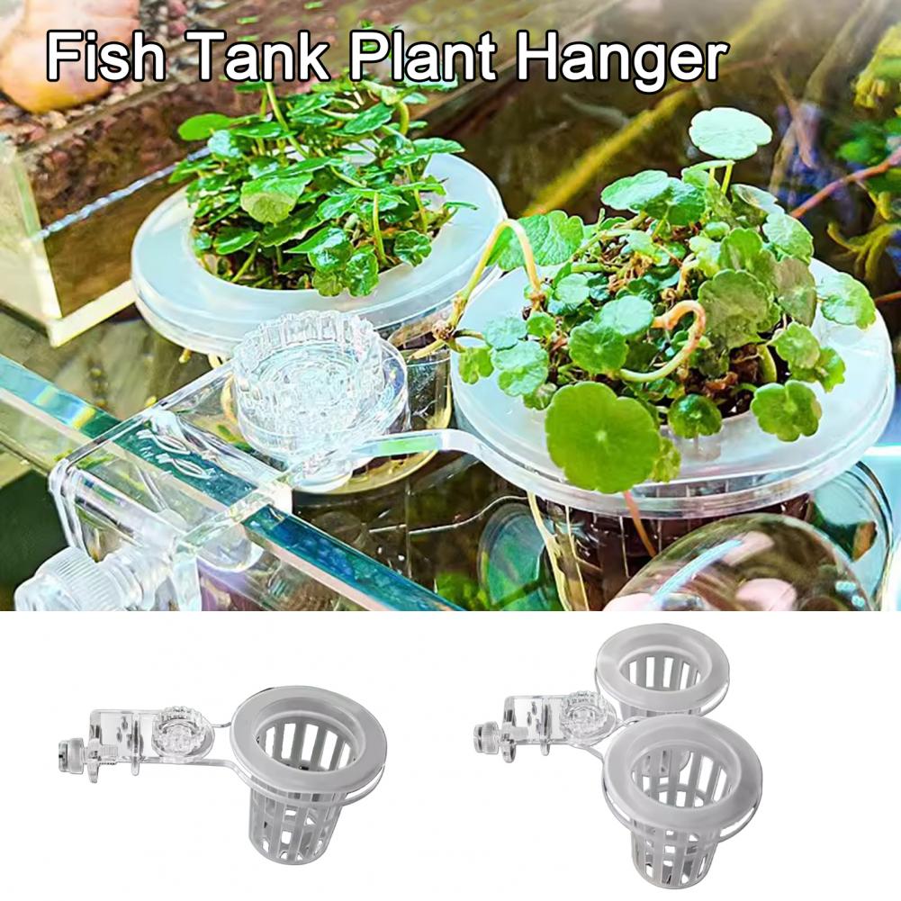 Aquarium Plant Holder Wall-Mou - Aquarium Planted Wall ulasan dan harga