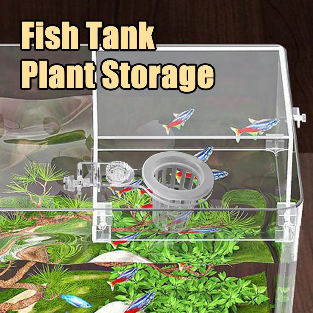 Aquarium Plant Holder Wall-Mou - Aquarium Planted Wall ulasan dan harga