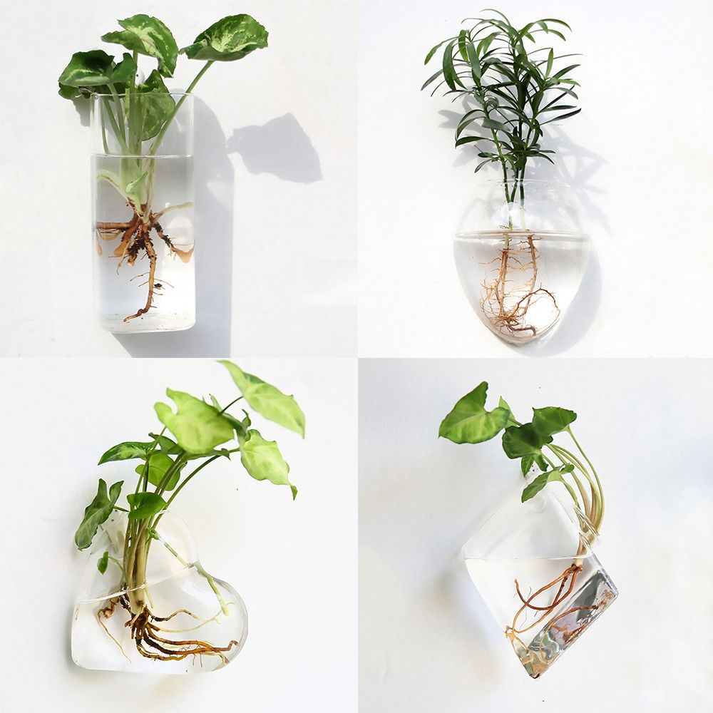 Cone Shape Wall Hanging Vase T - Aquarium Planted Wall ulasan dan harga