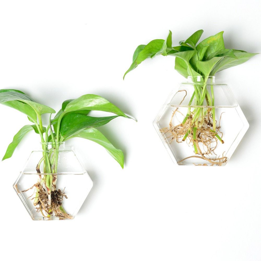 Cone Shape Wall Hanging Vase T - Aquarium Planted Wall ulasan dan harga