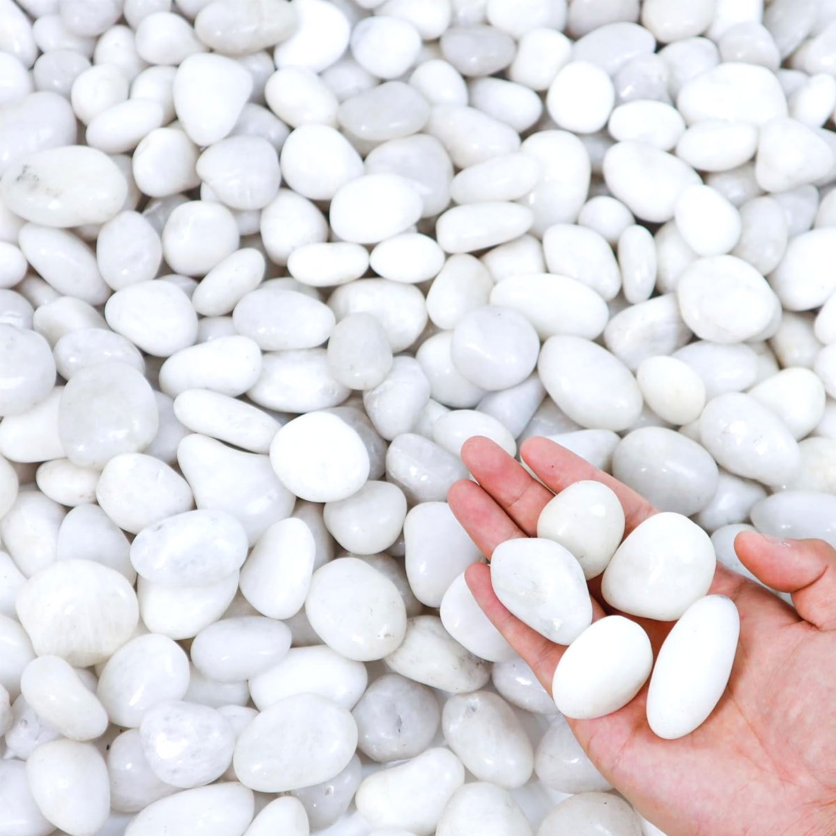 400g White Polished Natural Ri - Aquarium Sand White ulasan dan harga