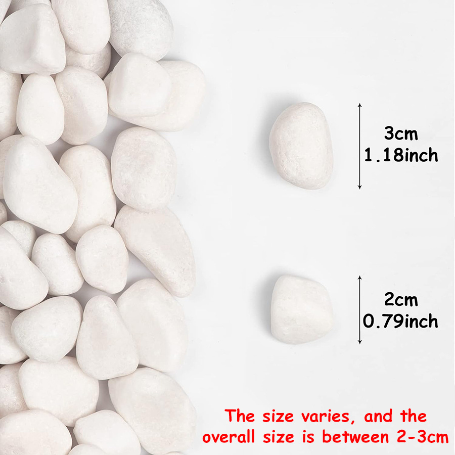 400g White Polished Natural Ri - Aquarium Sand White ulasan dan harga