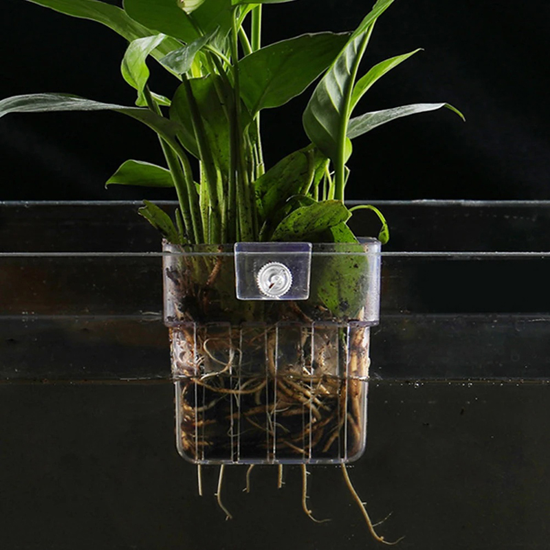 New【Hanging Aquarium Planter C - Aquarium Planted Wall ulasan dan harga