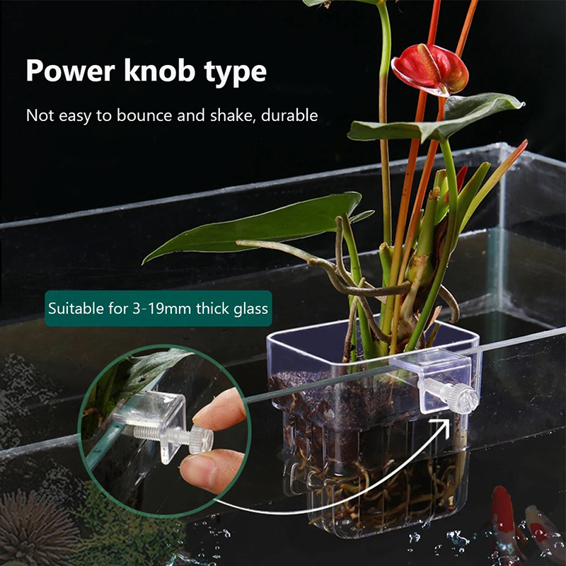New【Hanging Aquarium Planter C - Aquarium Planted Wall ulasan dan harga