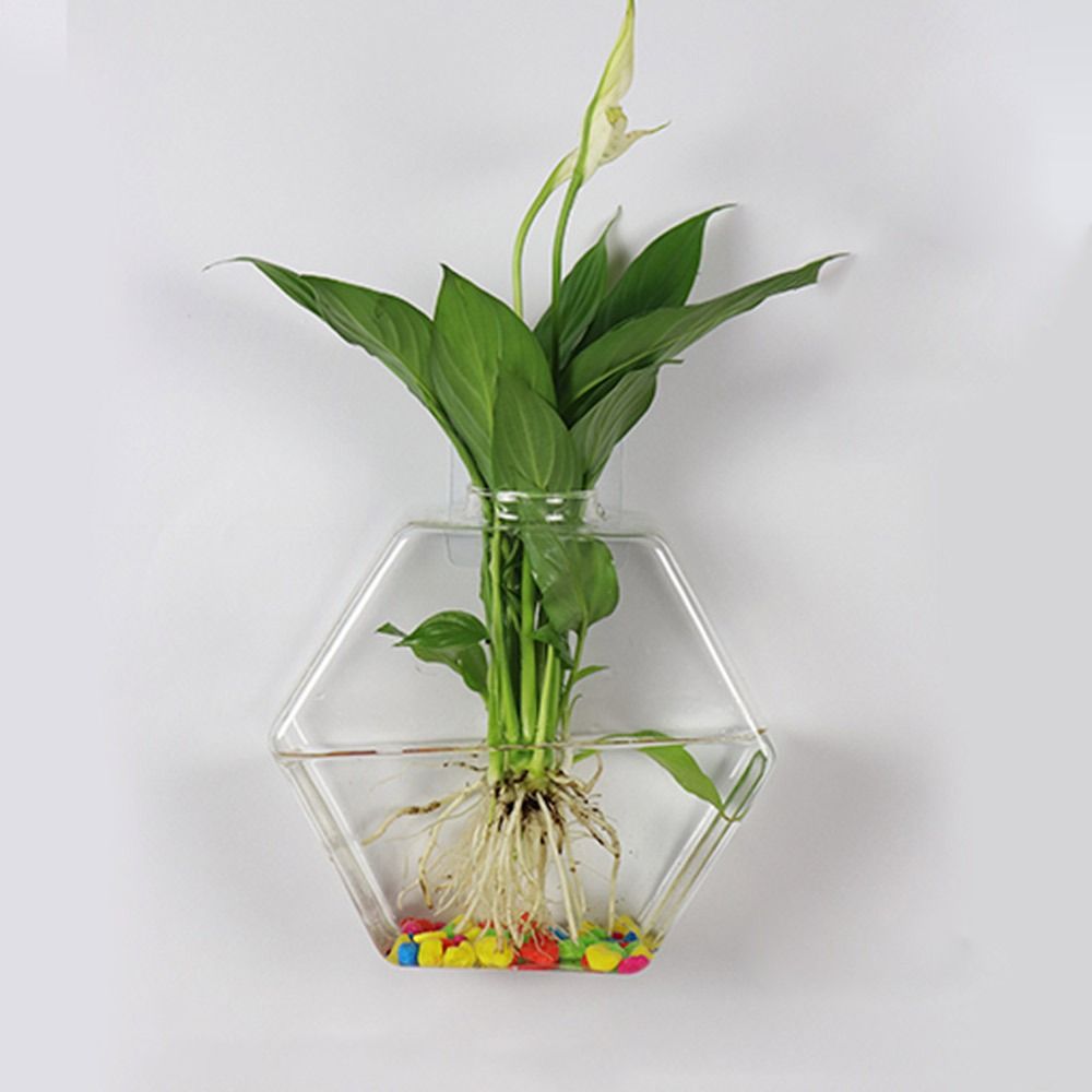 Cone Shape Wall Hanging Vase H - Aquarium Planted Wall ulasan dan harga