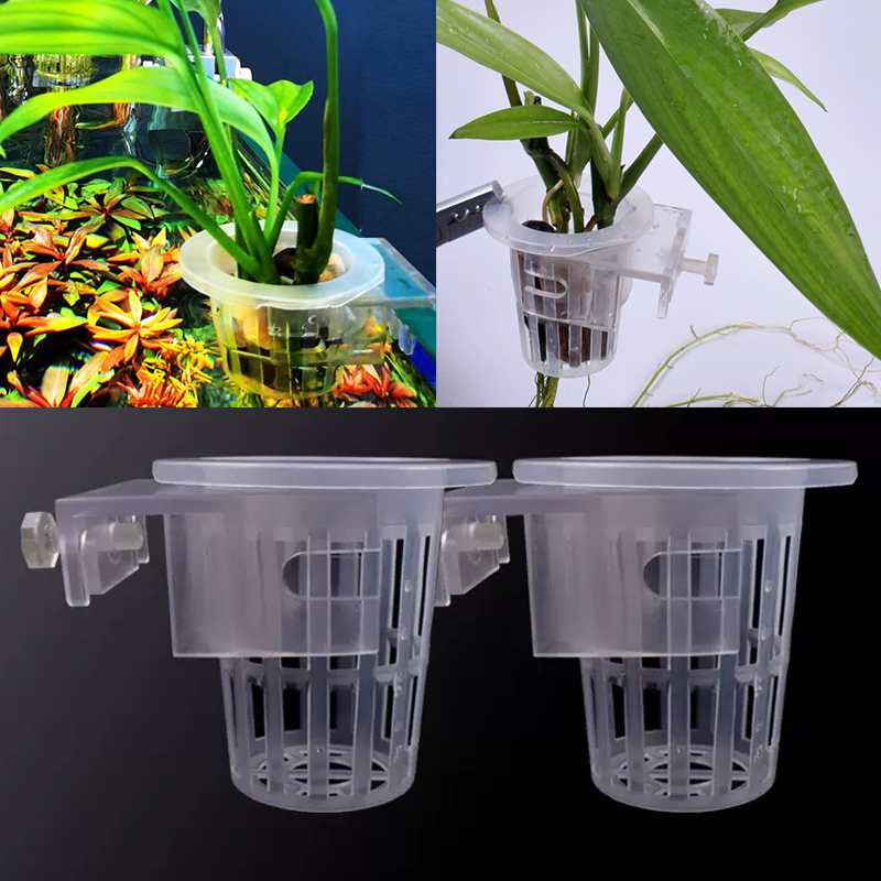 Wall Mounted Aquatic Plant Fix - Aquarium Planted Wall ulasan dan harga