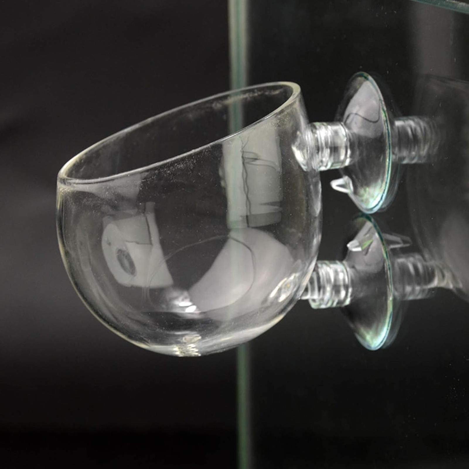 Aquarium Plant Holder Glass Aq - Aquarium Plant Dip ulasan dan harga