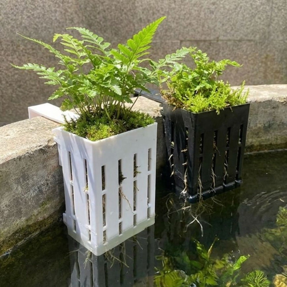 Wall-Mounted Aquarium Plant Ba - Aquarium Planted Wall ulasan dan harga