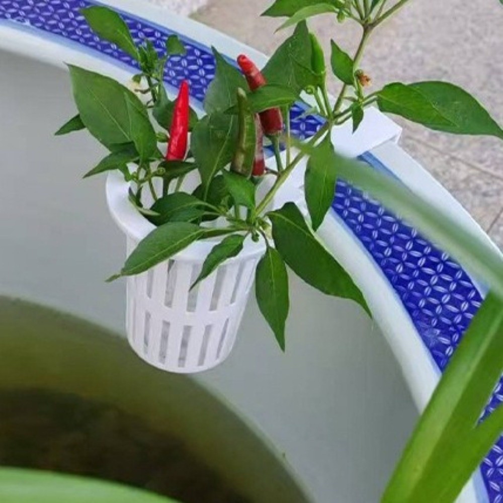 Wall-Mounted Aquarium Plant Ba - Aquarium Planted Wall ulasan dan harga