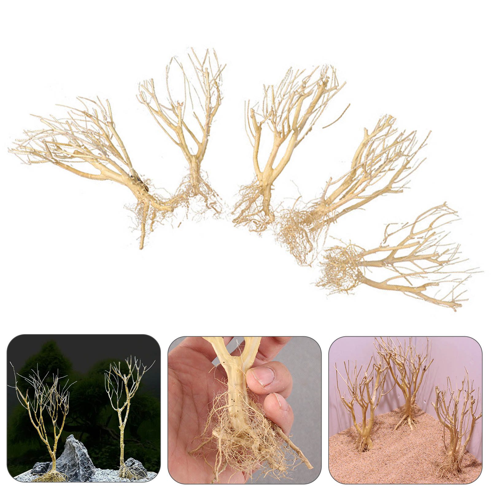 New DIY Driftwood Aquarium Mos - Aquarium Plant On Wood ulasan dan harga
