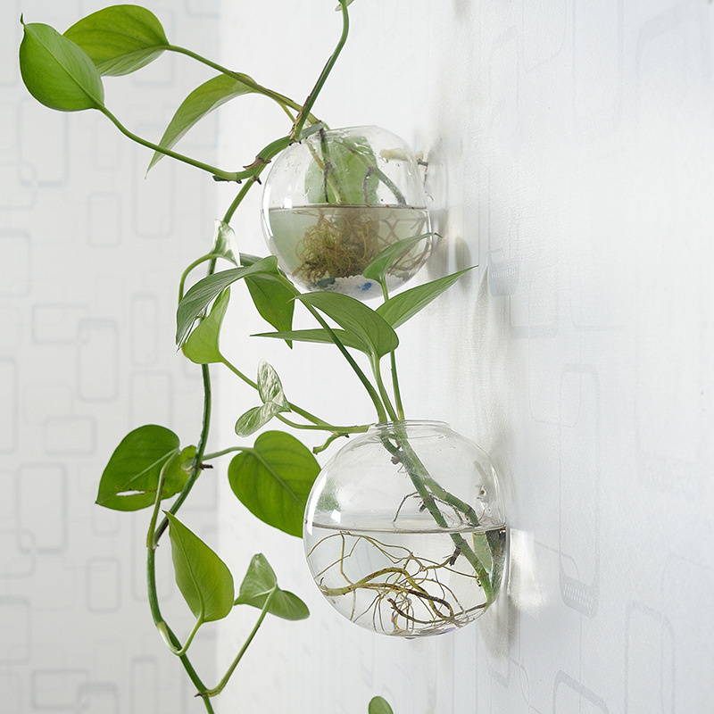 Wall Hanging Acrylic Fish Bowl - Aquarium Planted Wall ulasan dan harga
