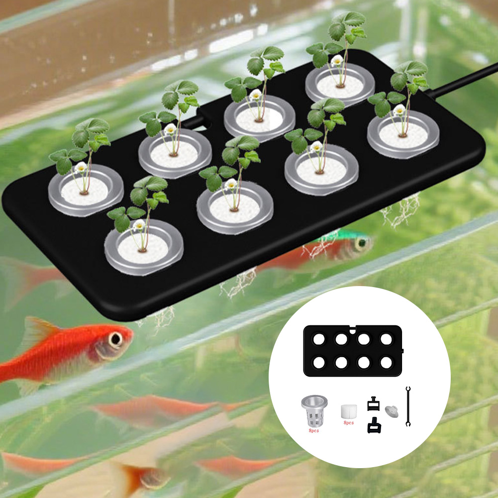 Aquatic Floating Planting Boar - Aquarium Planted Wall ulasan dan harga