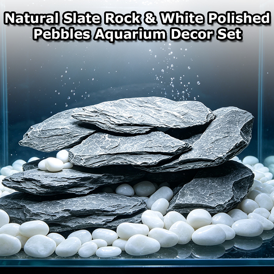 400g Aquarium Decor Set Stacka - Aquarium Sand White ulasan dan harga