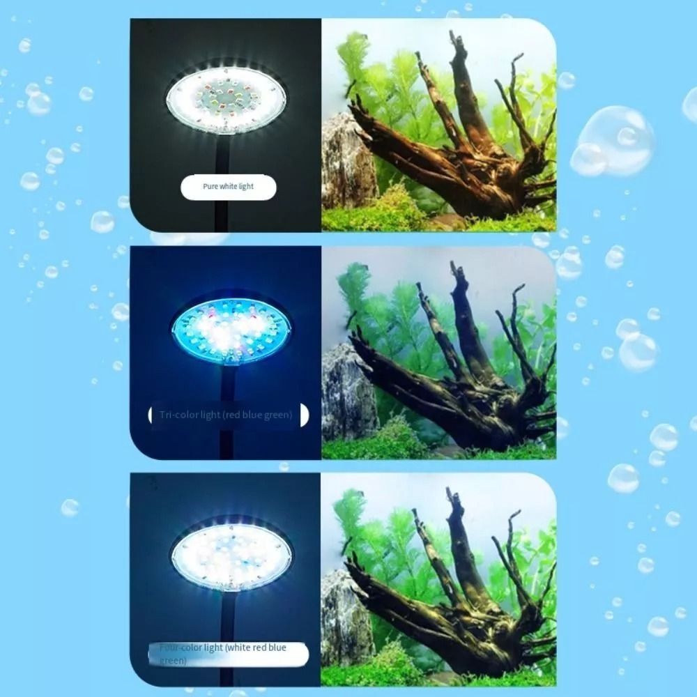 New Mini Fish Tank Clip Lamp 5 - Planted Aquarium Mini ulasan dan harga