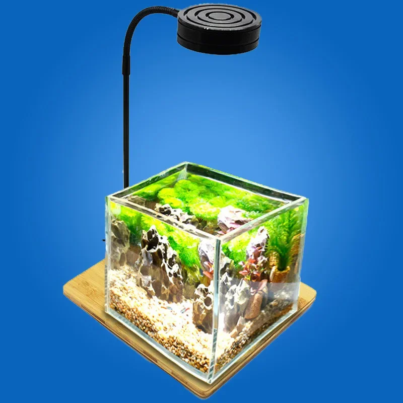 Mini LED Aquarium Light With B - Planted Aquarium Mini ulasan dan harga