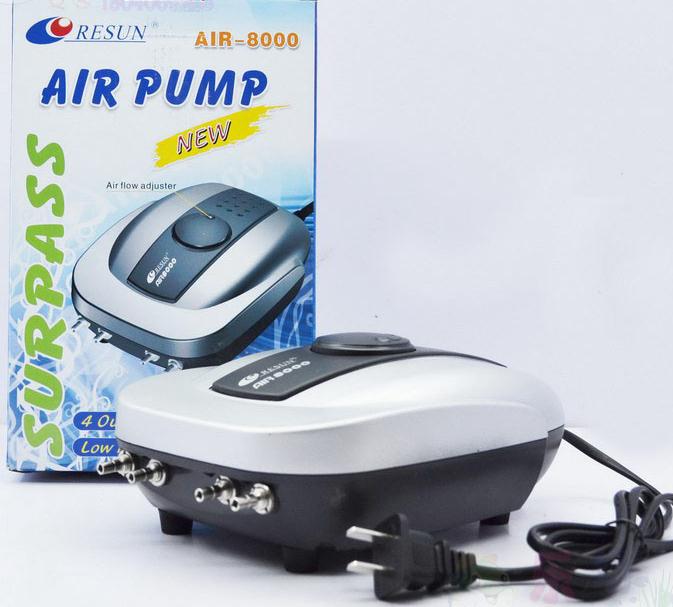 idea for small marine plant ta - Aquarium Plant Ideas ulasan dan harga