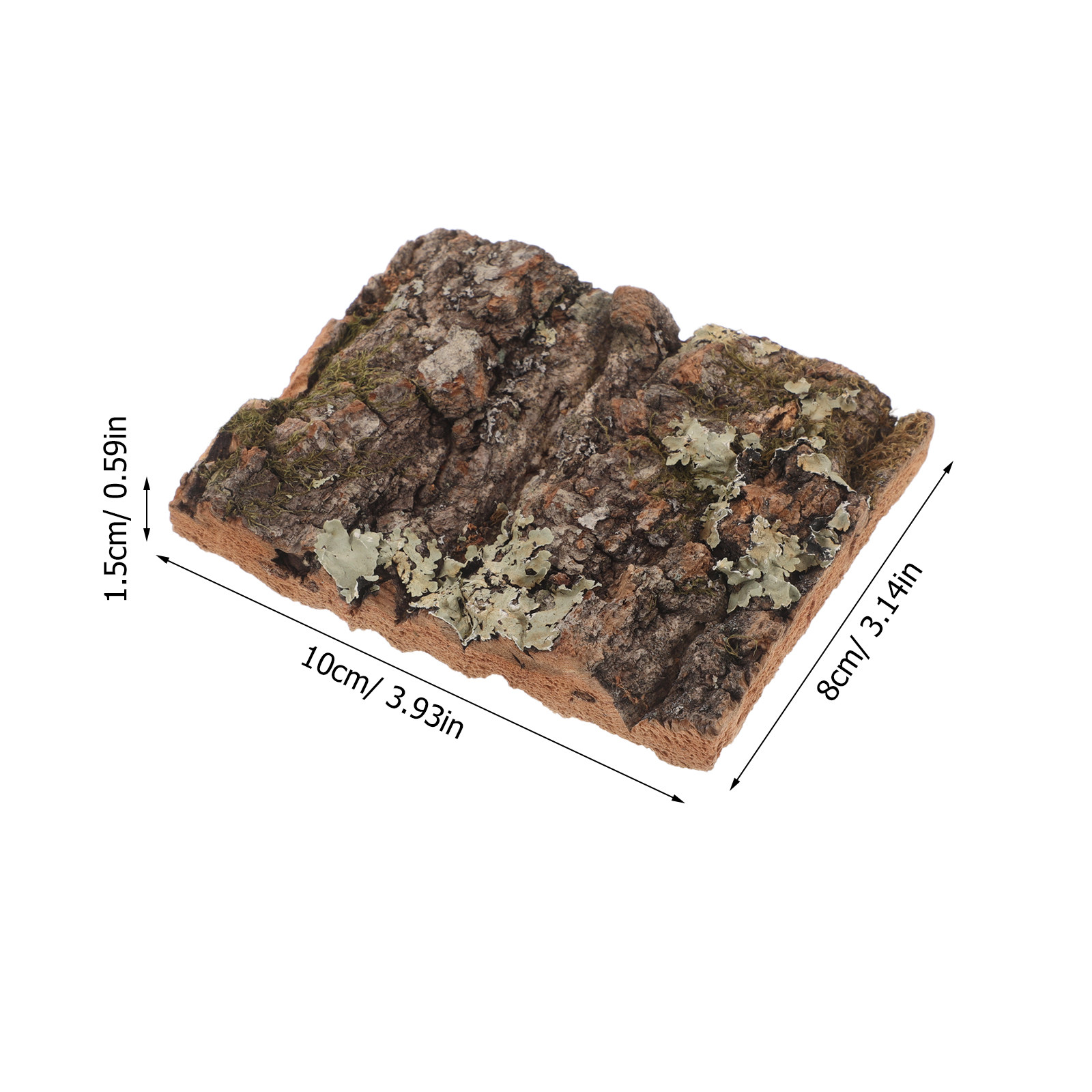 Premium Cork Bark Terrarium De - Aquarium Planted Wall ulasan dan harga