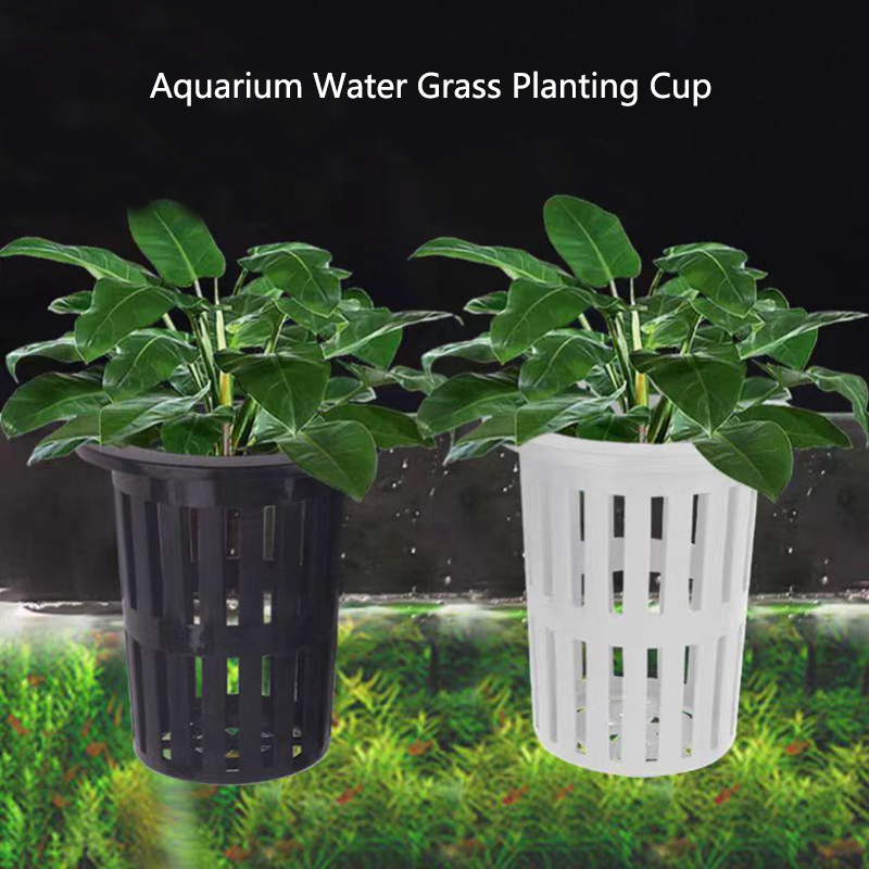 1/3Pcs Aquarium Plant Basket W - Aquarium Planted Wall ulasan dan harga