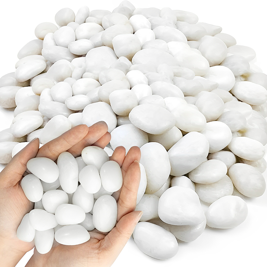 1/2Lb White Polished Aquarium  - Aquarium Sand White ulasan dan harga