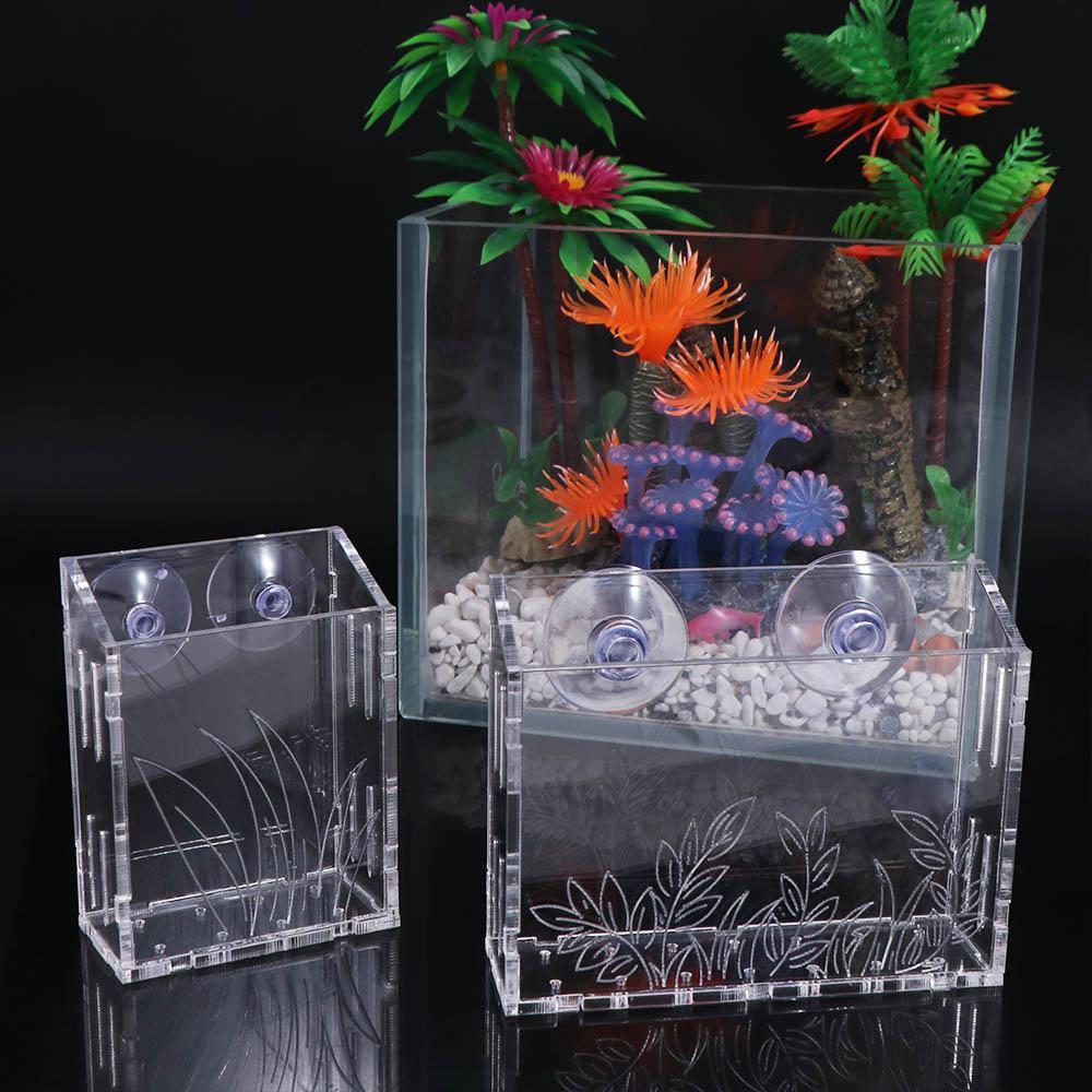Wall Hanging Aquarium Plants C - Aquarium Planted Wall ulasan dan harga