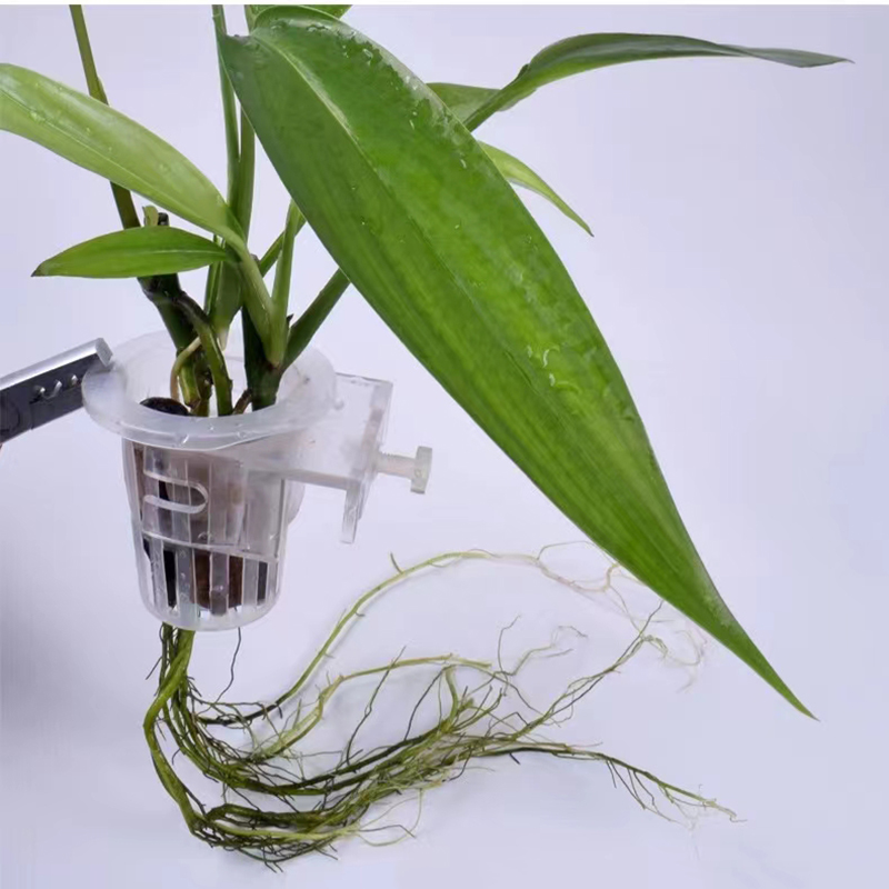 Aquarium Planting Basket Hydro - Aquarium Planted Wall ulasan dan harga