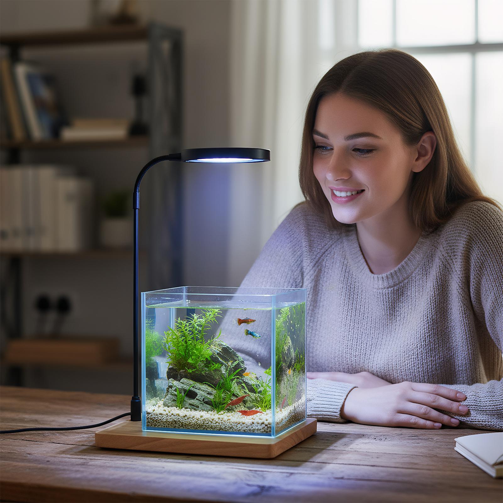 Plant Lights For Indoor Growin - Aquarium Plant On Wood ulasan dan harga