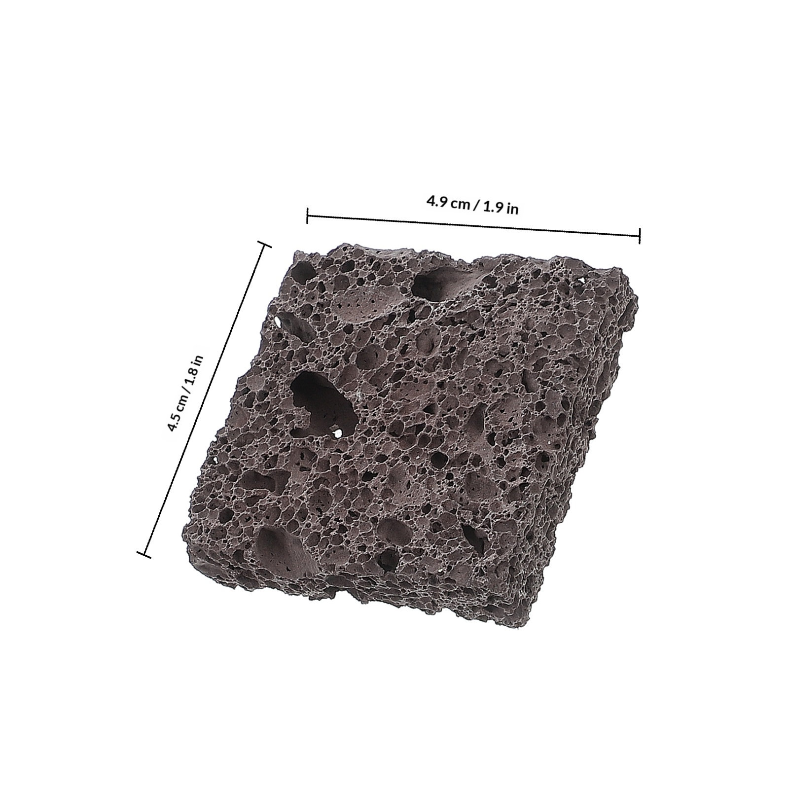 3Pcs Water Plant Propagation N - Planted Aquarium Anubias ulasan dan harga